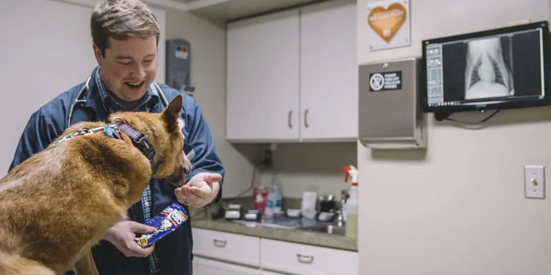 Veterinary Clinic in Lexington, KY | Nicholasville Road Animal Hospital Veterinary Clinic in Lexington, KY | Nicholasville Road Animal Hospital